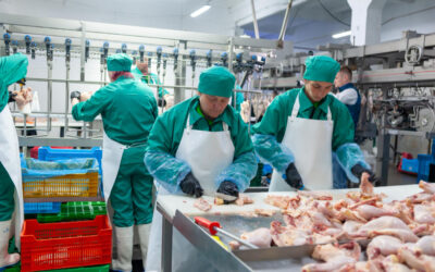 Internal Recruiting Versus Labor Outsourcing